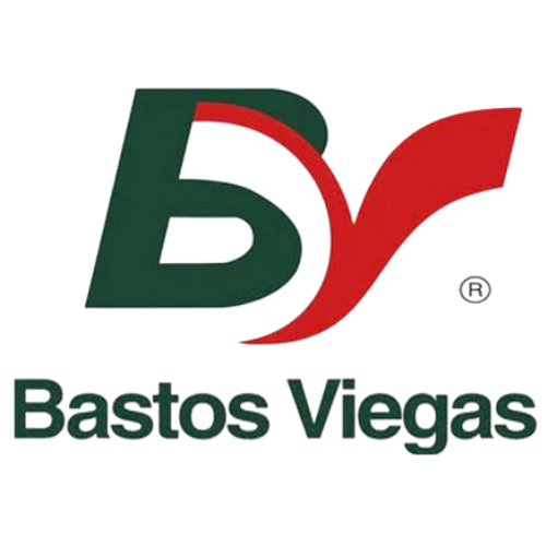 BASTOS VIEGAS