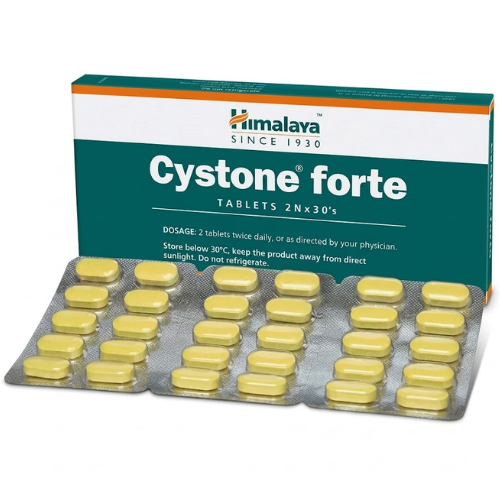 CYSTONE FORTE TAB X 60