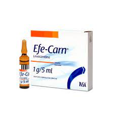 EFE-CARN L-CARNITINA 1GR AMP 5ML X 1