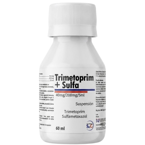 TRIMETOPRIM SULFAMETOXAZOL 40-200MG/5ML SUSP 60ML (S&G)